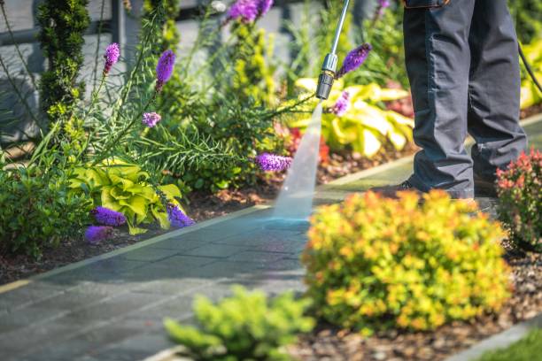 Best Sidewalk and Walkway Pressure Cleaning in Montgomery, PA